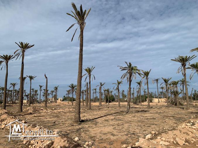 Terrain à vendre à Midoun Djerba