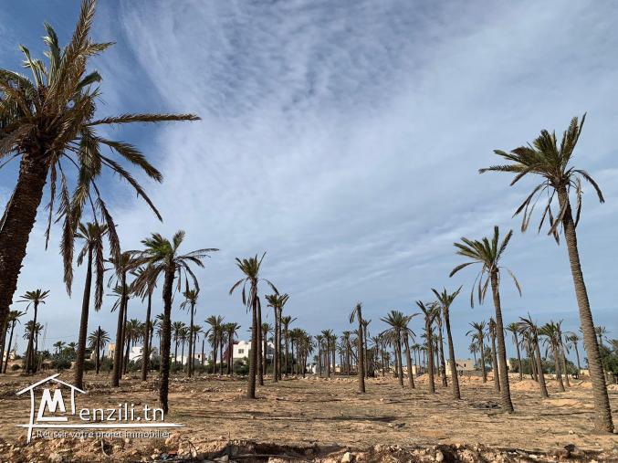Terrain à vendre à Midoun Djerba