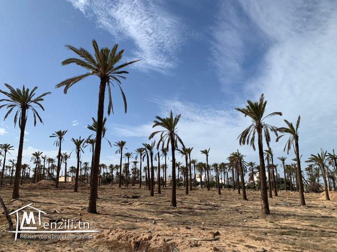 Terrain à vendre à Midoun Djerba