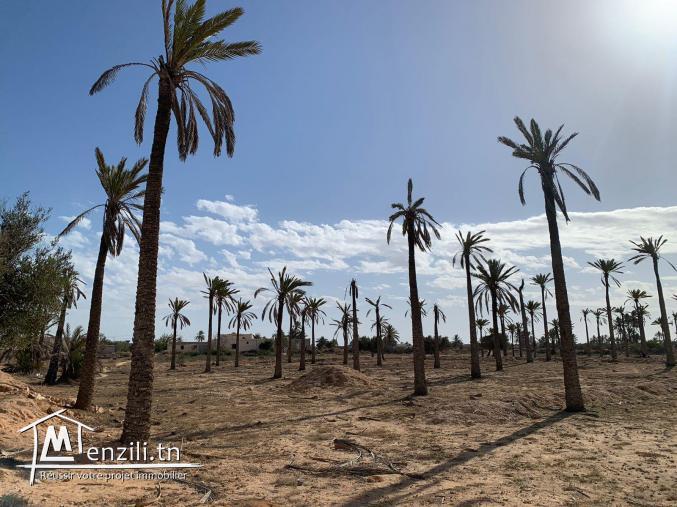 Terrain à vendre à Midoun Djerba