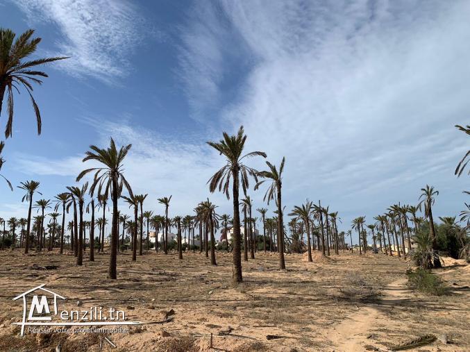 Terrain à vendre à Midoun Djerba