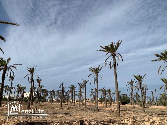 Terrain à vendre à Midoun Djerba
