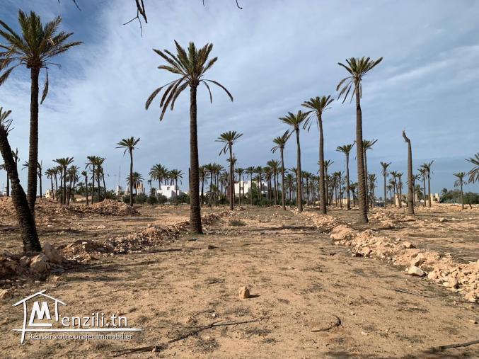 Terrain à vendre à Midoun Djerba