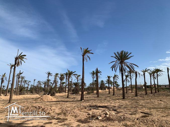 Terrain à vendre à Midoun Djerba