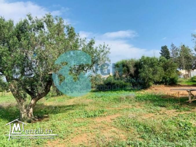 Terrain de 530M² A CHATTE MARIEM