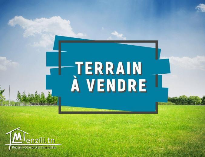Un terrain de superficie 700m² à vendre située à kalaa Sghira