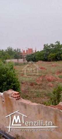 Lot de terrain de 500 m²  à vendre à 55 MD à Hammamet Sud51355351