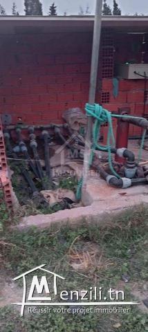 Lot de terrain de 500 m²  à vendre à 55 MD à Hammamet Sud51355351