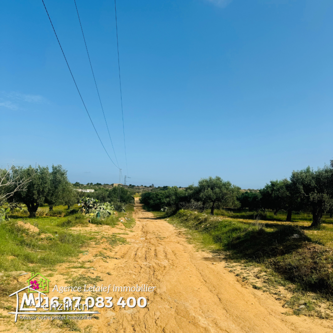 Terrain de 4000m2 70 DTle m² a foukaia chott meriem