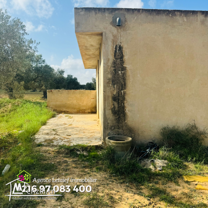 Terrain de 4000m2 70 DTle m² a foukaia chott meriem