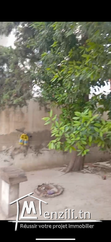 A vendre: Maison avec jardin a Manouba