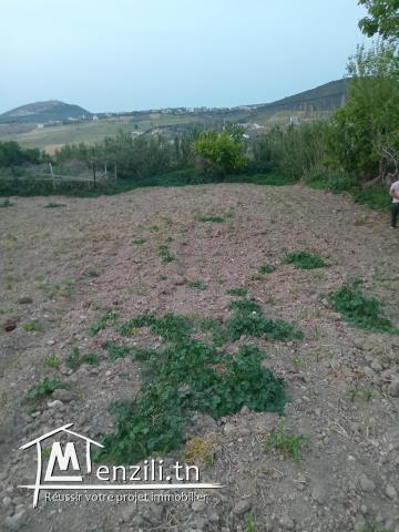 terrain à vendre de 210m²  à ain berda benzert