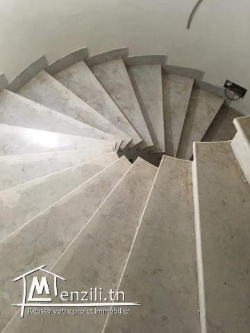 Villa de luxe quartier chic situer à Manouba cité el yosr station metro slimane kahia