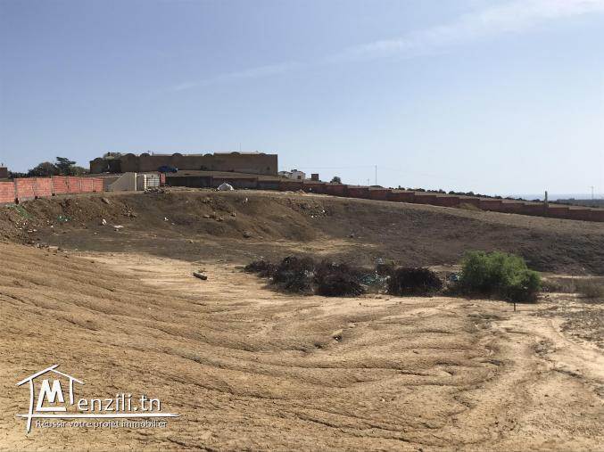 lotissement a Tamazrat