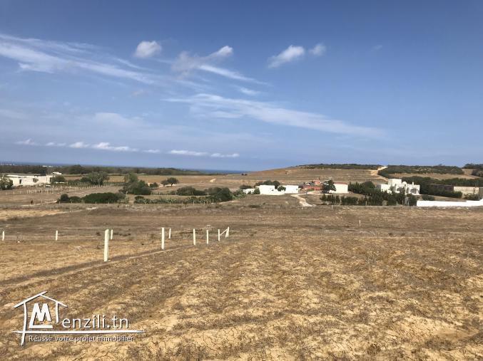 lotissement a Tamazrat