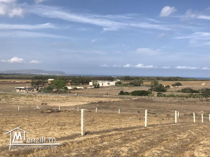 lotissement a Tamazrat