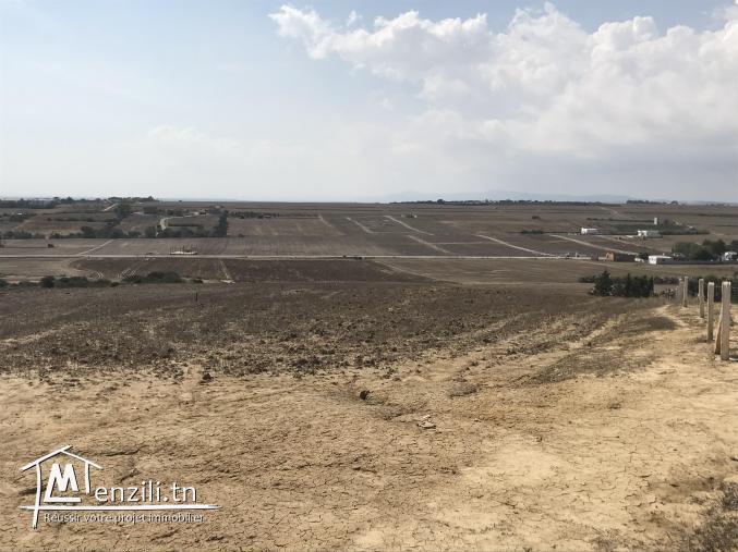 lotissement a Tamazrat