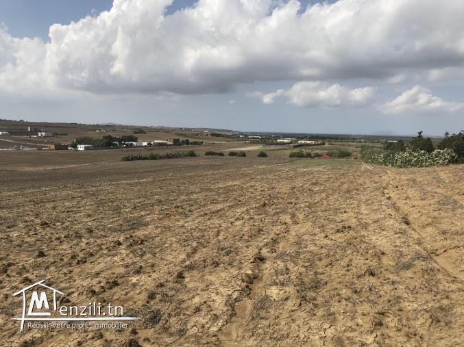 lotissement a Tamazrat