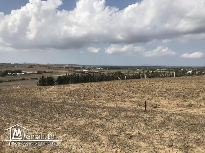 lotissement a Tamazrat