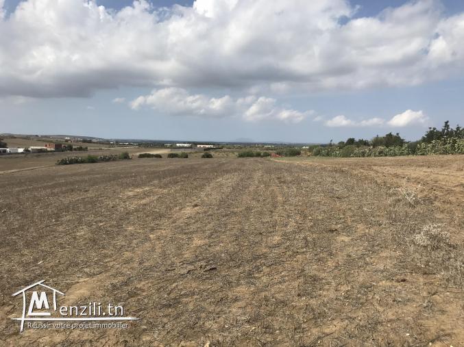 lotissement a Tamazrat