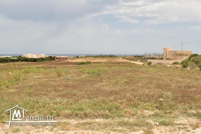 lotissement dar allouche