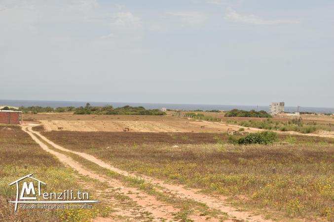 lotissement dar allouche