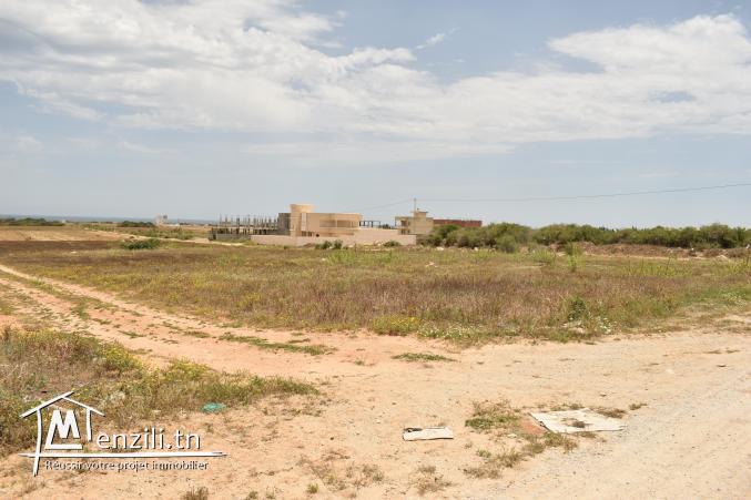 lotissement dar allouche