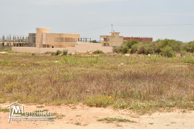 lotissement dar allouche