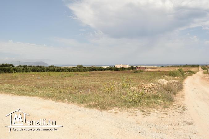 lotissement dar allouche