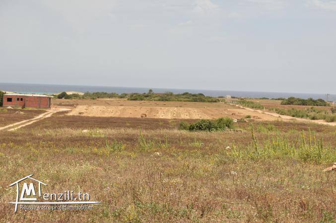 lotissement dar allouche