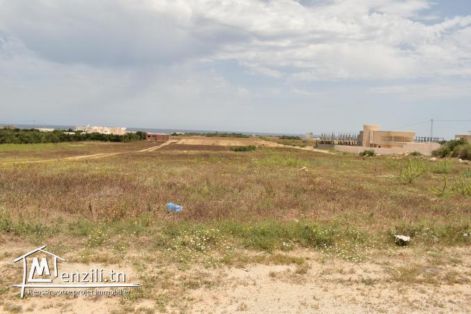 lotissement dar allouche