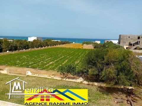 Maison d’hôte de surface 2 hectares pieds dans l'eau