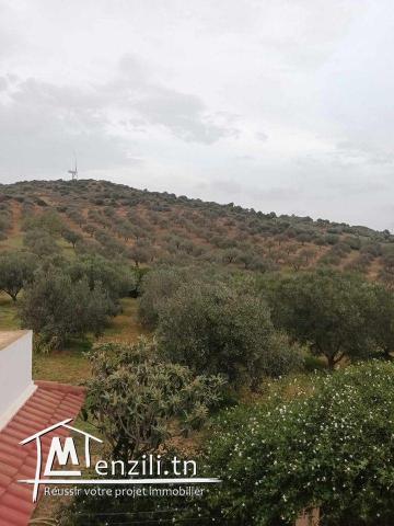 A vendre une Ferme à  Bizerte