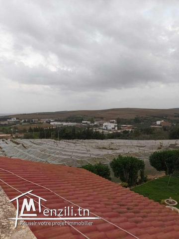 A vendre une Ferme à  Bizerte