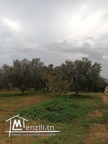 A vendre une Ferme à  Bizerte