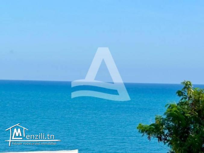 Location d'un duplex meublé à Gammarth