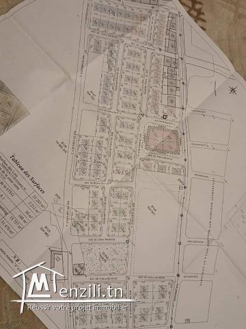 Terrain a vendre de 293 m2 à cité riadh 3