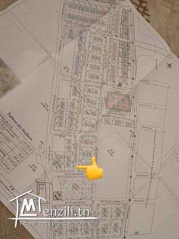 Terrain a vendre de 293 m2 à cité riadh 3