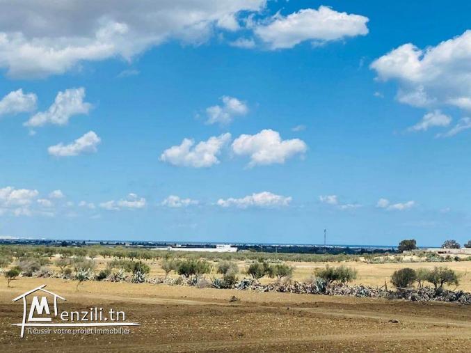 un terrain à bouficha 8 klm de la plage saloum