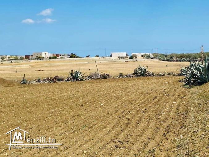 un terrain à bouficha 8 klm de la plage saloum