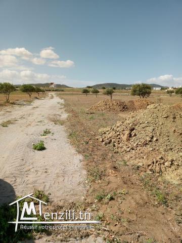 un terrain à bouficha 8 klm de la plage saloum