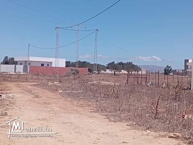 un terrain à dar allouche kélibia avec facilité du paiement