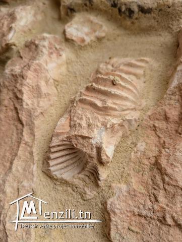 Villa 2 Piscines Ultra-Luxe Riche En Pierre