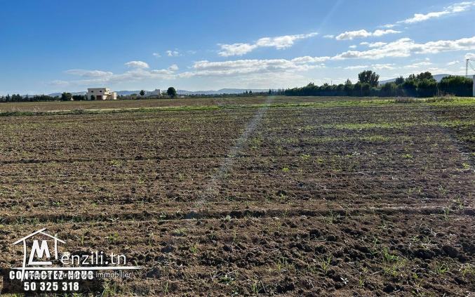 Terrain Agricole à vendre à Chorfech, Sidi Thabet