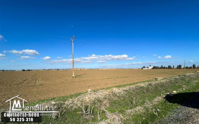 Terrain Agricole à vendre à Chorfech, Sidi Thabet