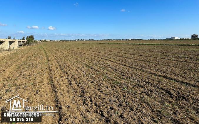 Terrain Agricole à vendre à Chorfech, Sidi Thabet