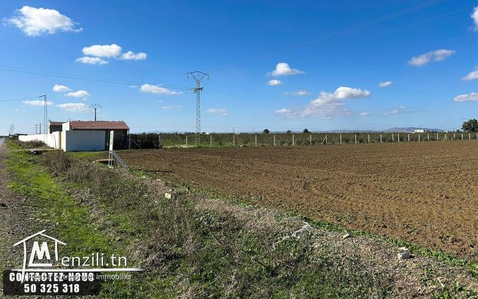 Terrain Agricole à vendre à Chorfech, Sidi Thabet