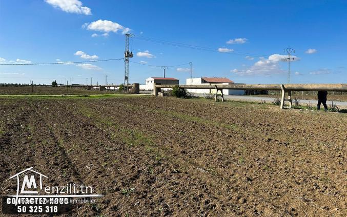 Terrain Agricole à vendre à Chorfech, Sidi Thabet