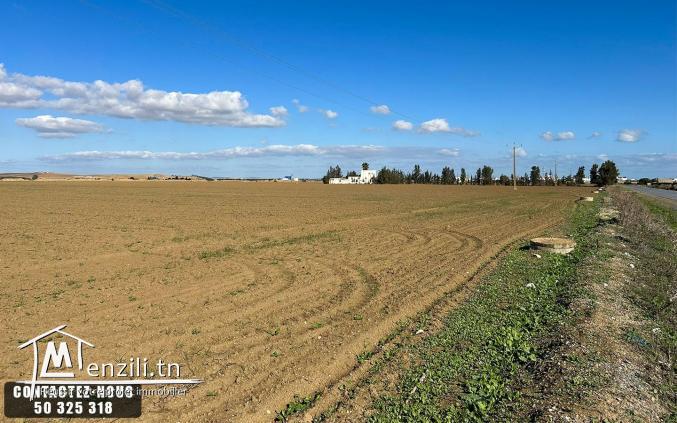 Terrain Agricole à vendre à Chorfech, Sidi Thabet
