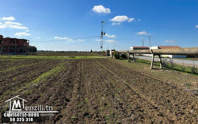 Terrain Agricole à vendre à Chorfech, Sidi Thabet